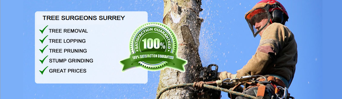 Service Area | Tree Surgeons Surrey | 01372-300349